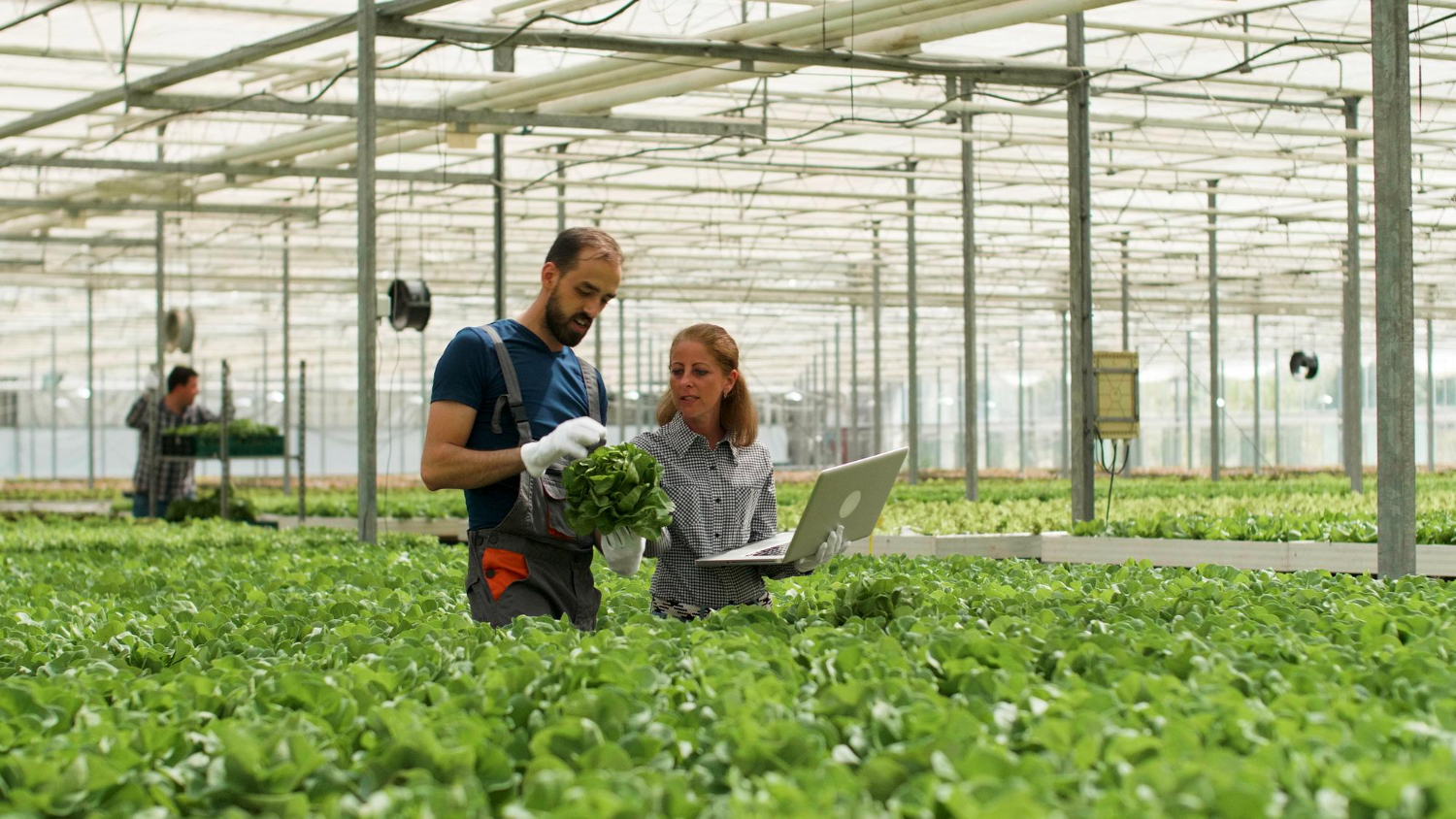 Mining ERP Sytem